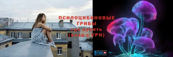 мдпв Нязепетровск