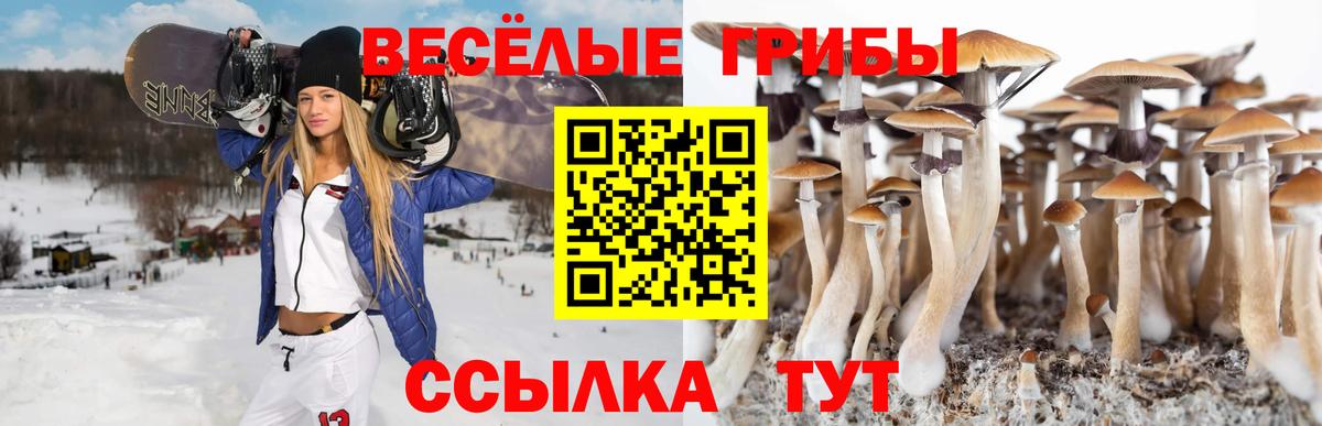 Галлюциногенные грибы ЛСД Апшеронск